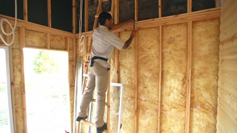 Best Commercial Insulation Services  in South Bound Brook, NJ